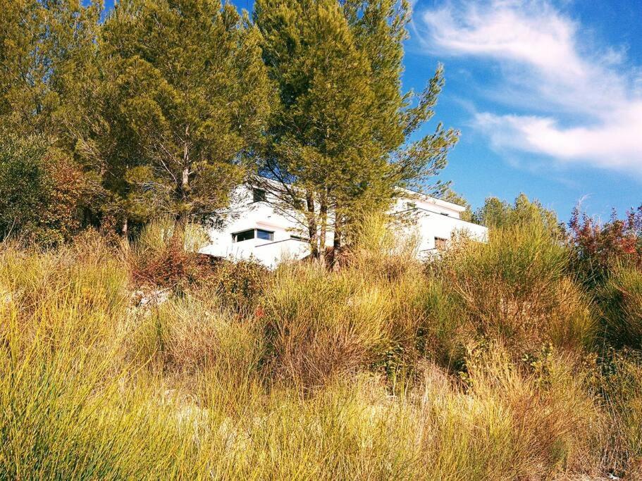Villa Contemporaine F5 Cote Azur Ollioules Calme Exterior photo